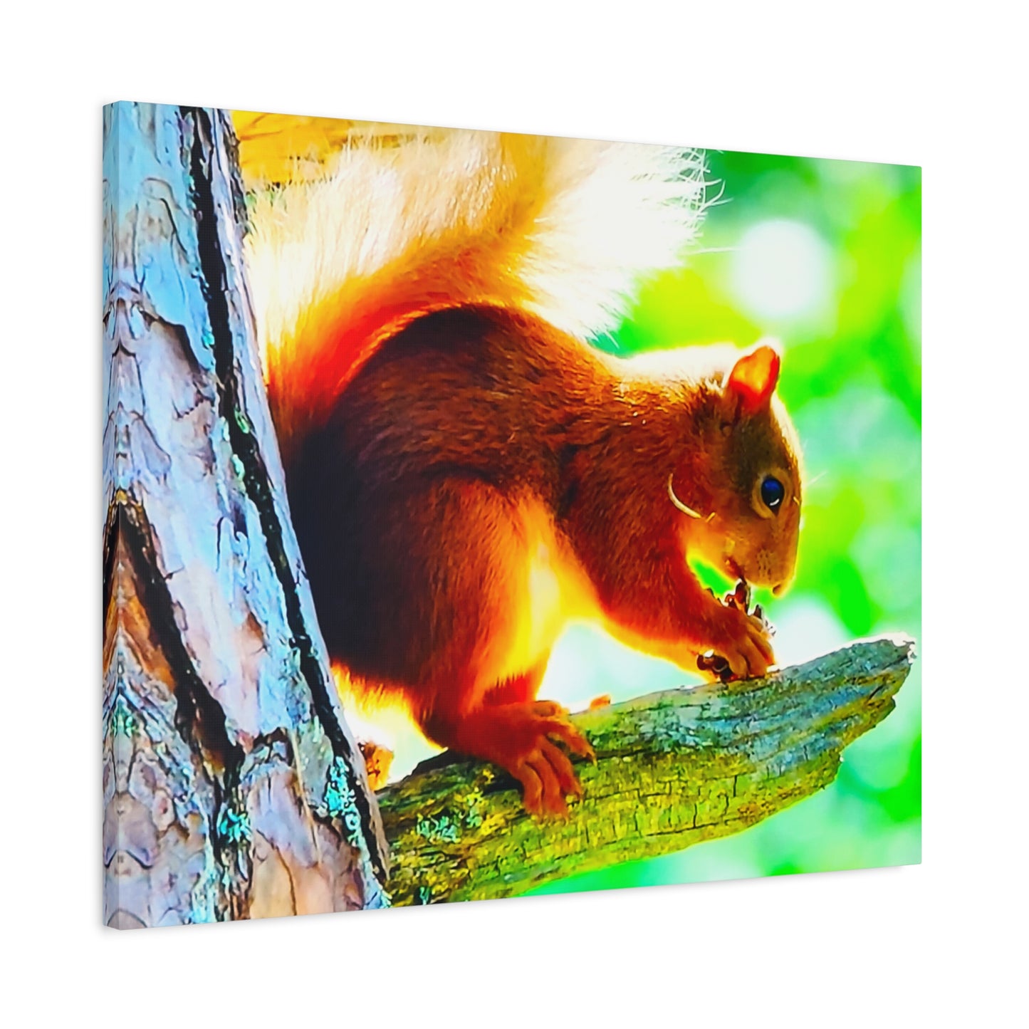 Energetic Squirrel Nut Main