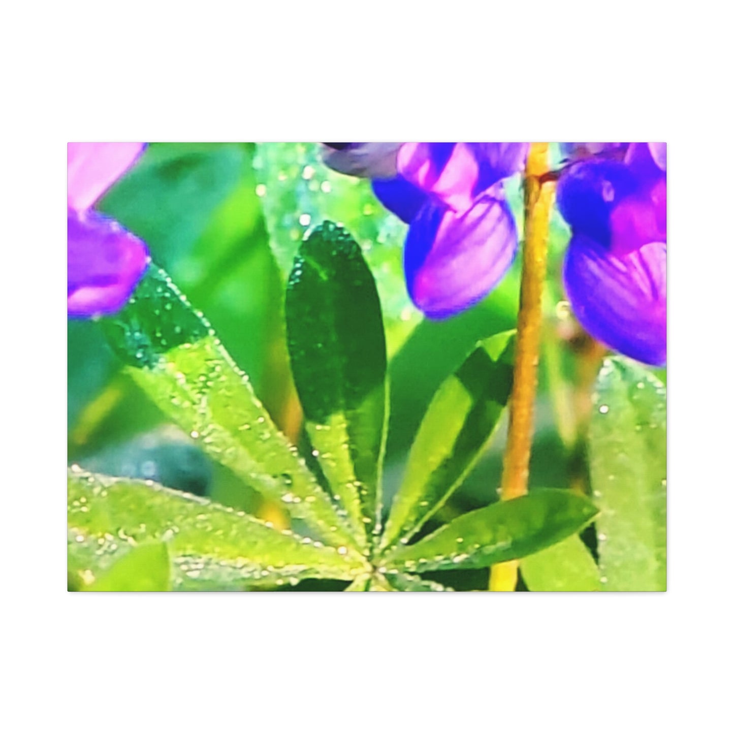 Field Of Beautiful Flowers 4