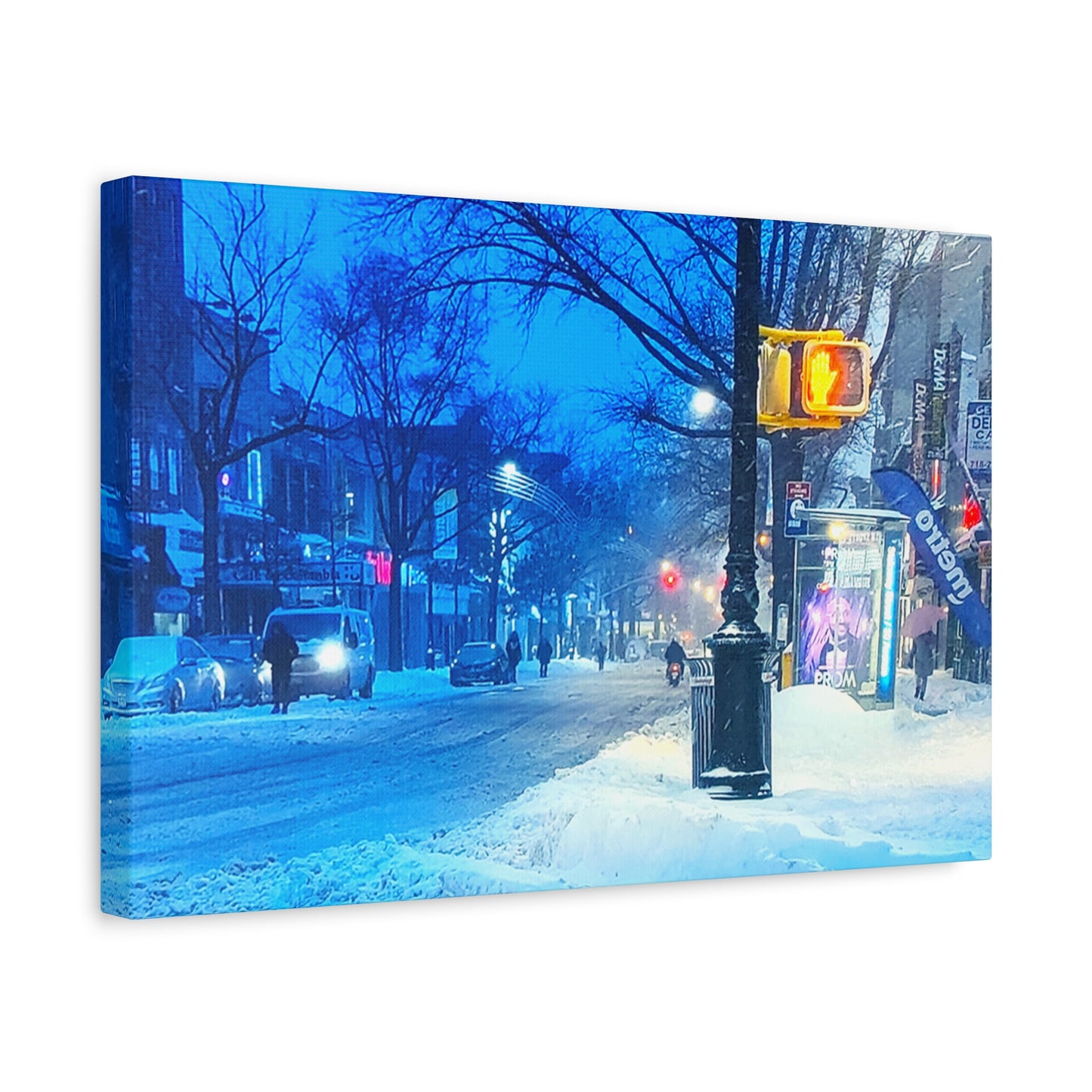 Chicago Winter Snow Main