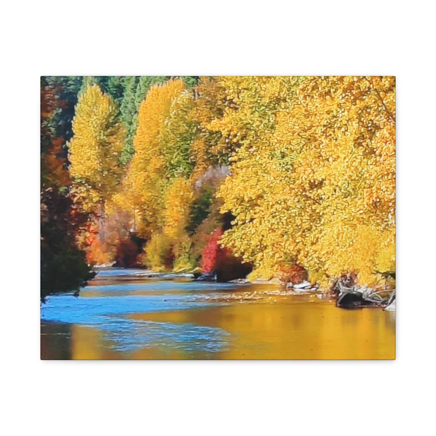 Colorful Fall River 2
