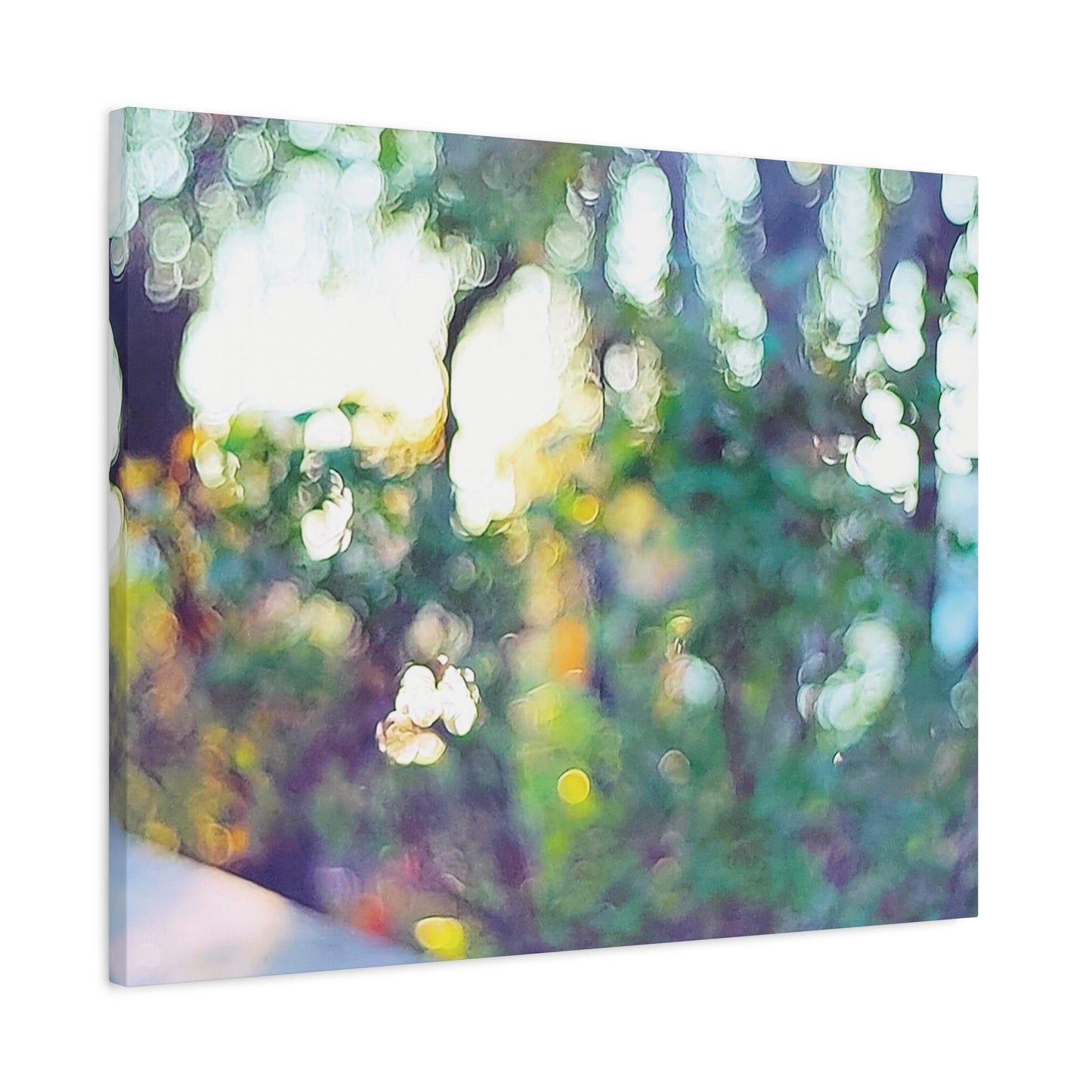 Blurred Autumn Trees 5