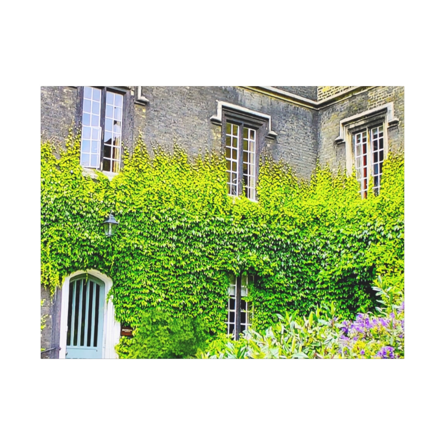 Rustic Building Ivy 4