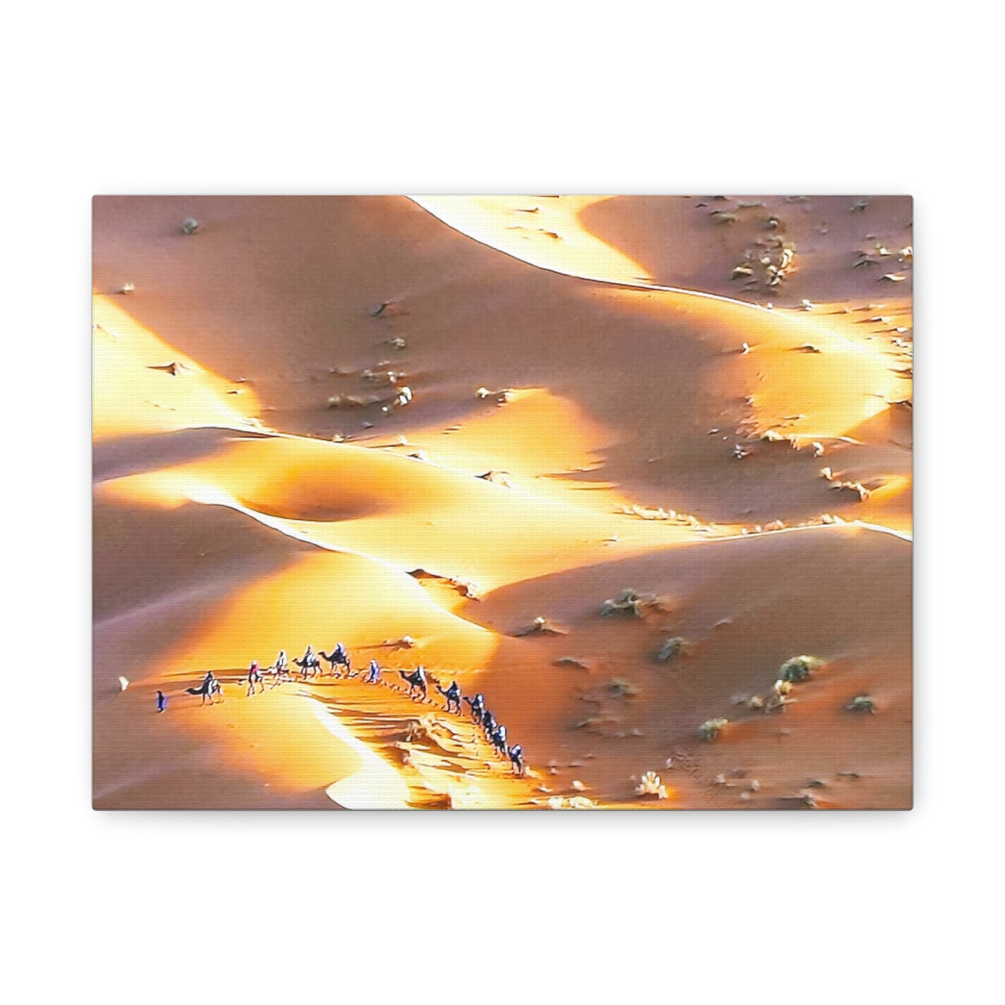 African Desert Dunes 1