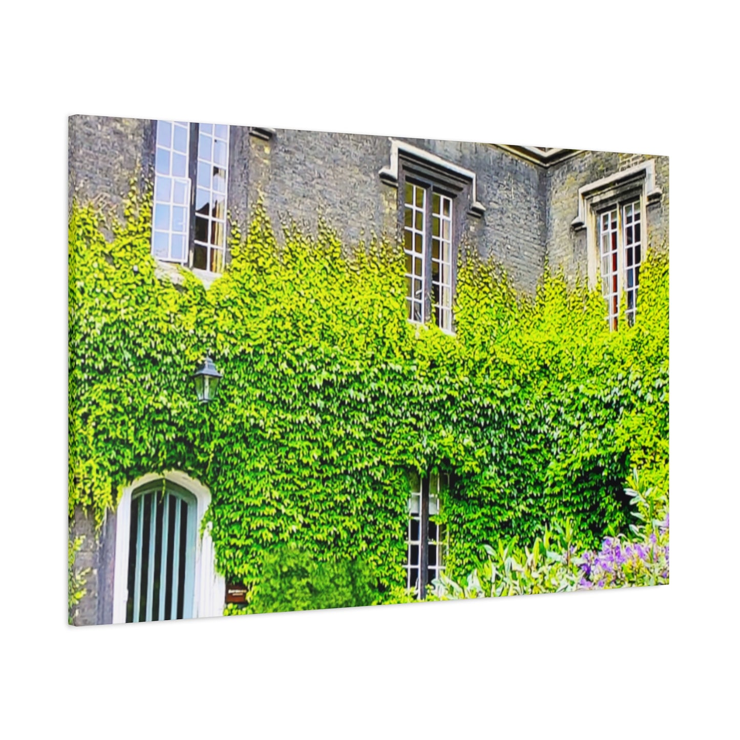 Rustic Building Ivy 11