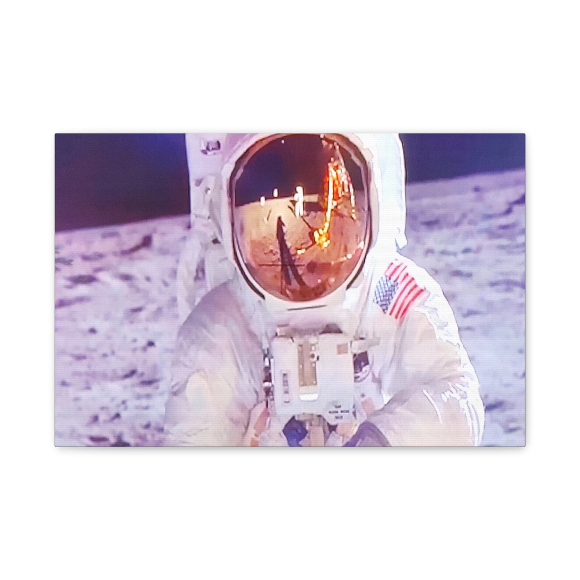 Apollo Astronaut Collecting 2