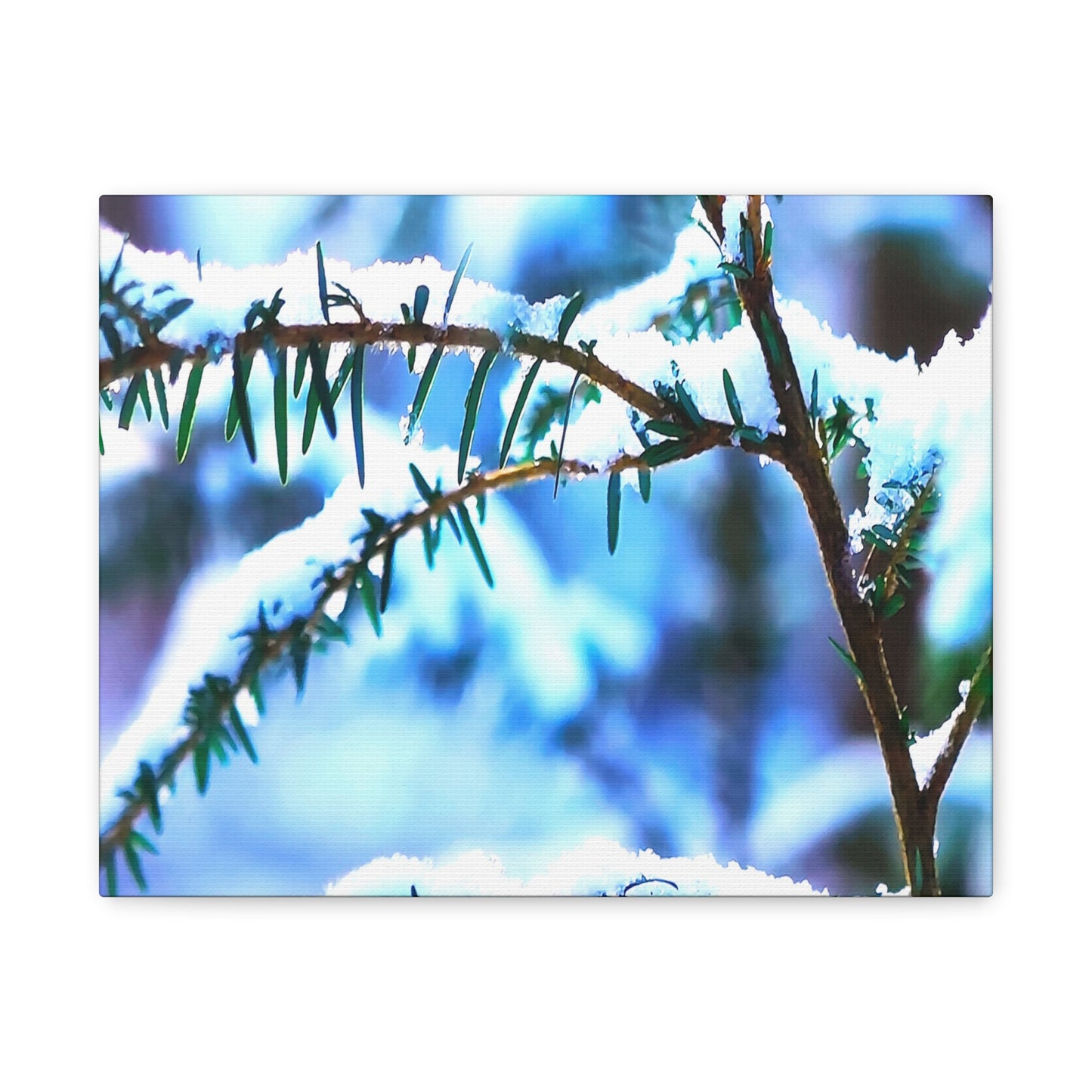 Frosty Little Evergreen 2