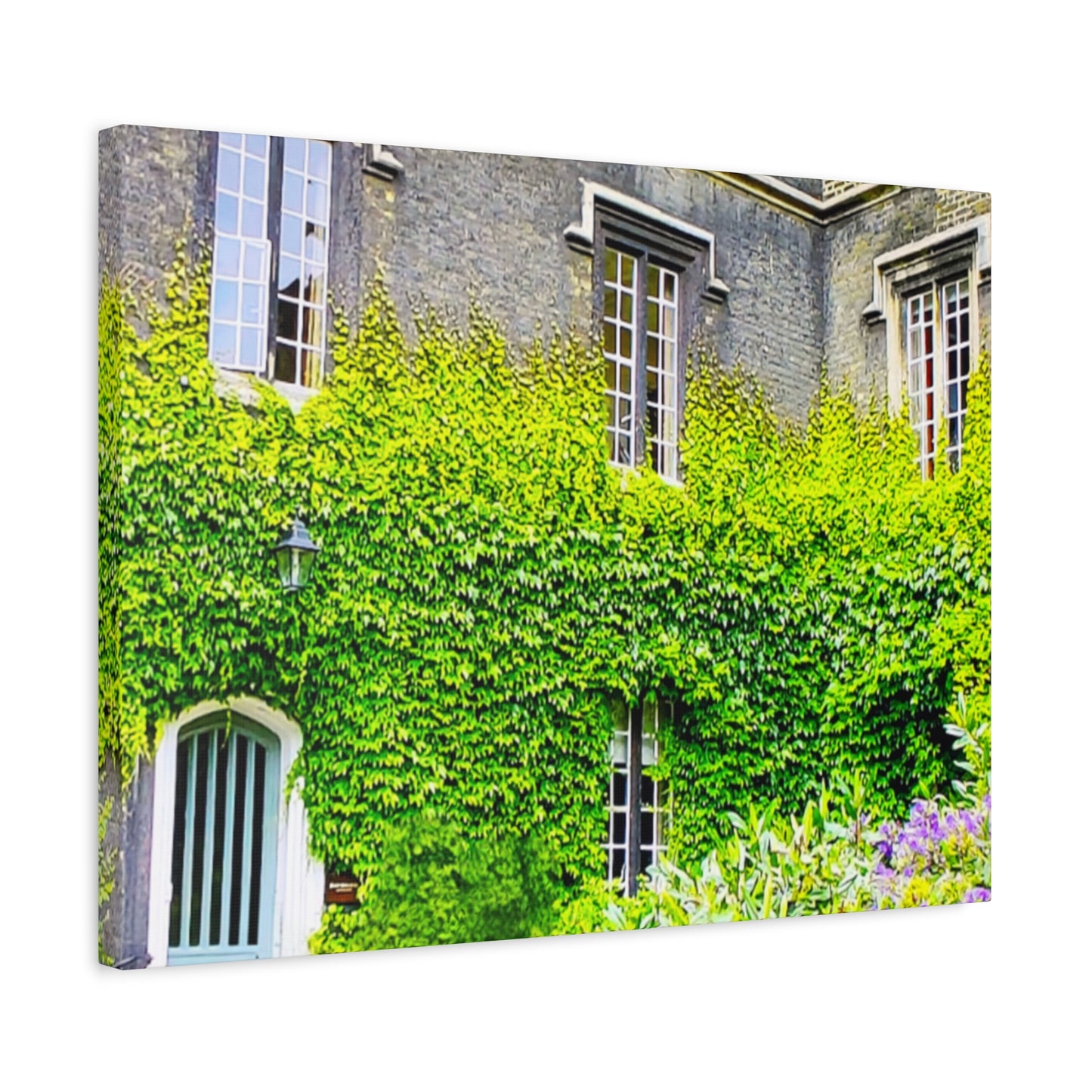 Rustic Building Ivy Main