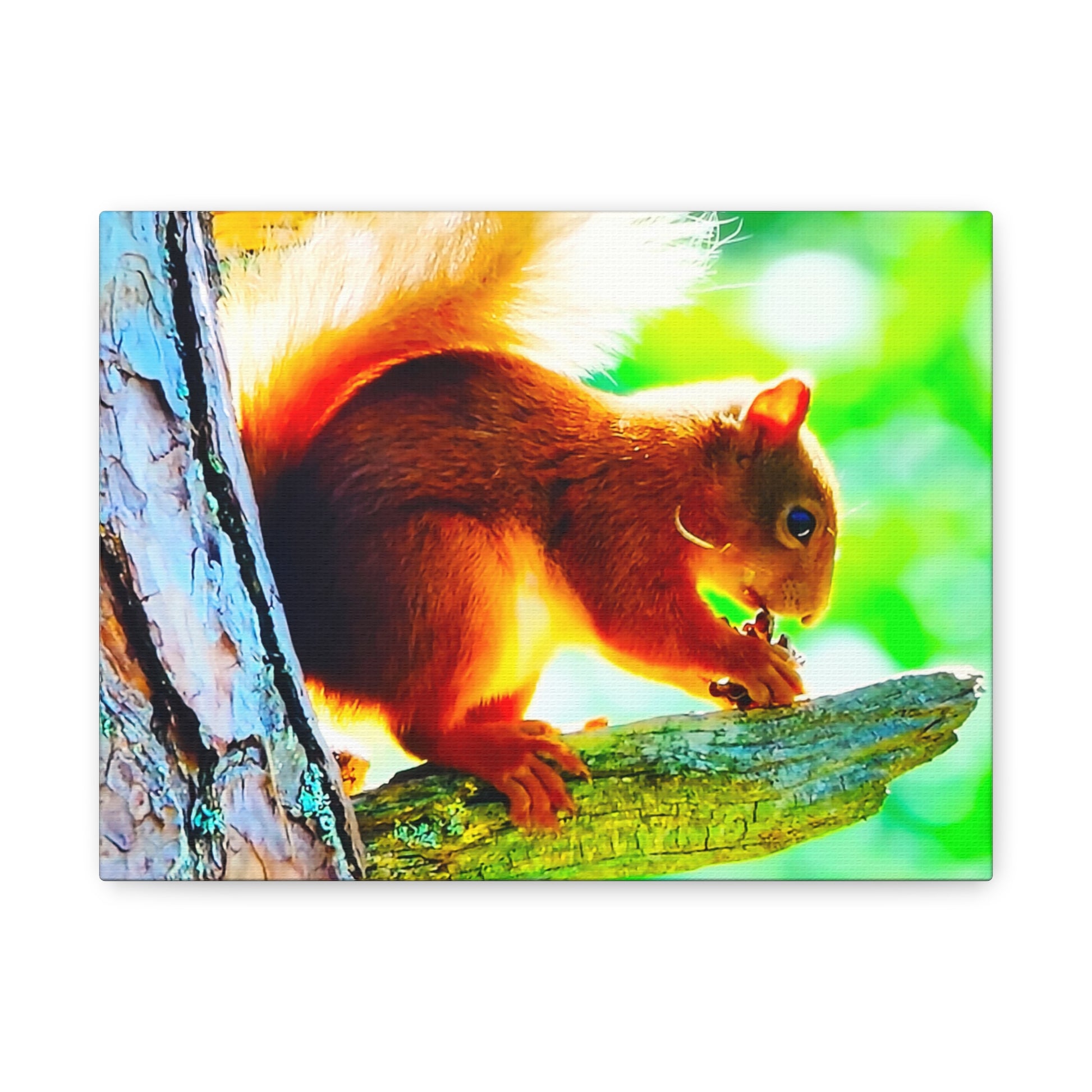 Energetic Squirrel Nut 1