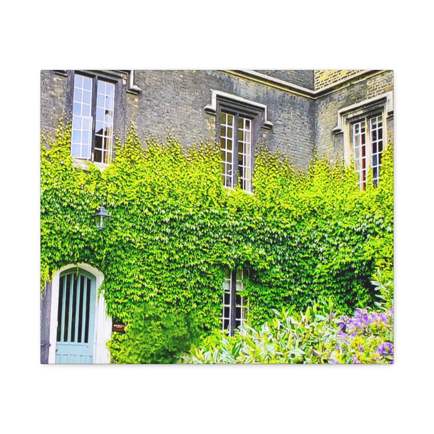 Rustic Building Ivy 1