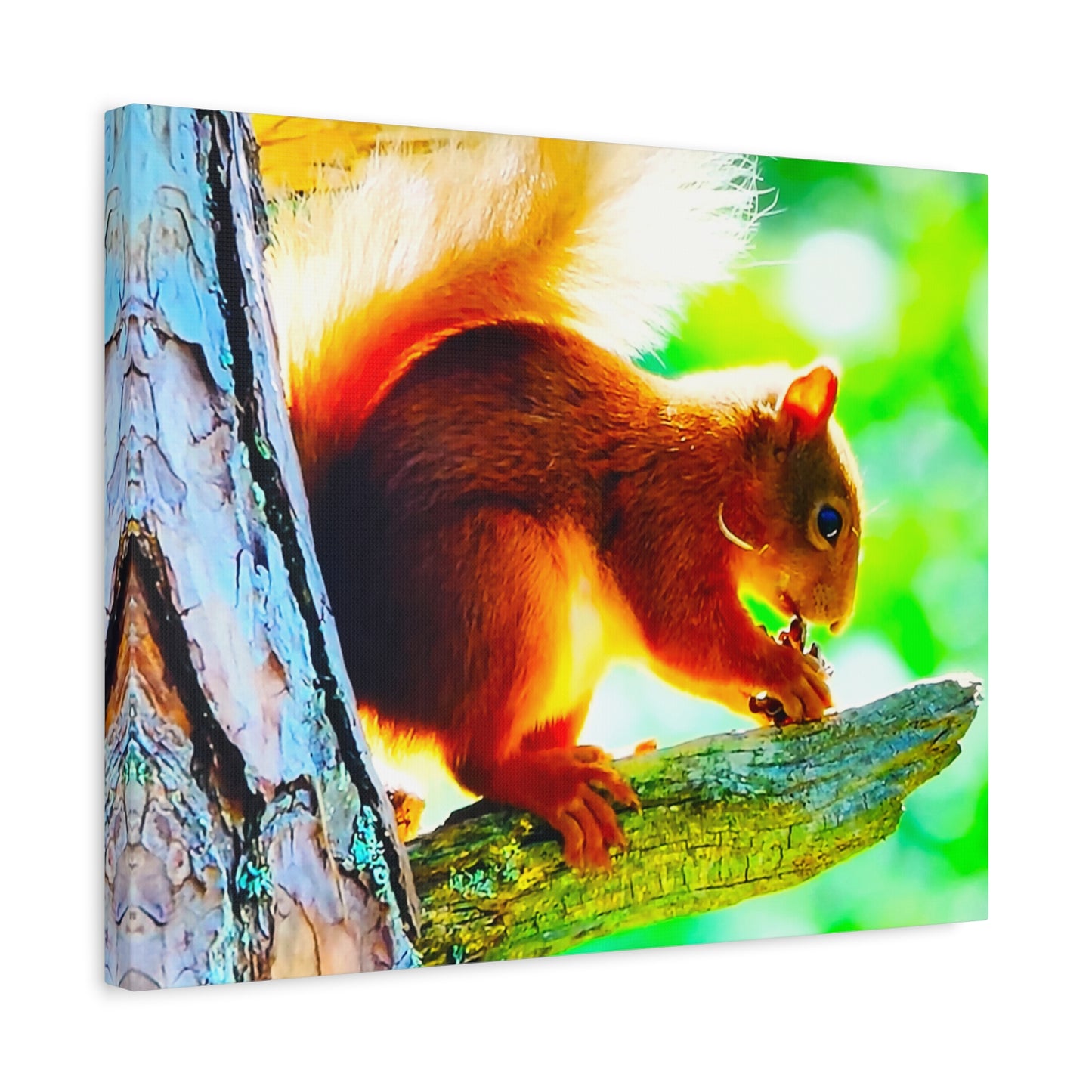 Energetic Squirrel Nut 10