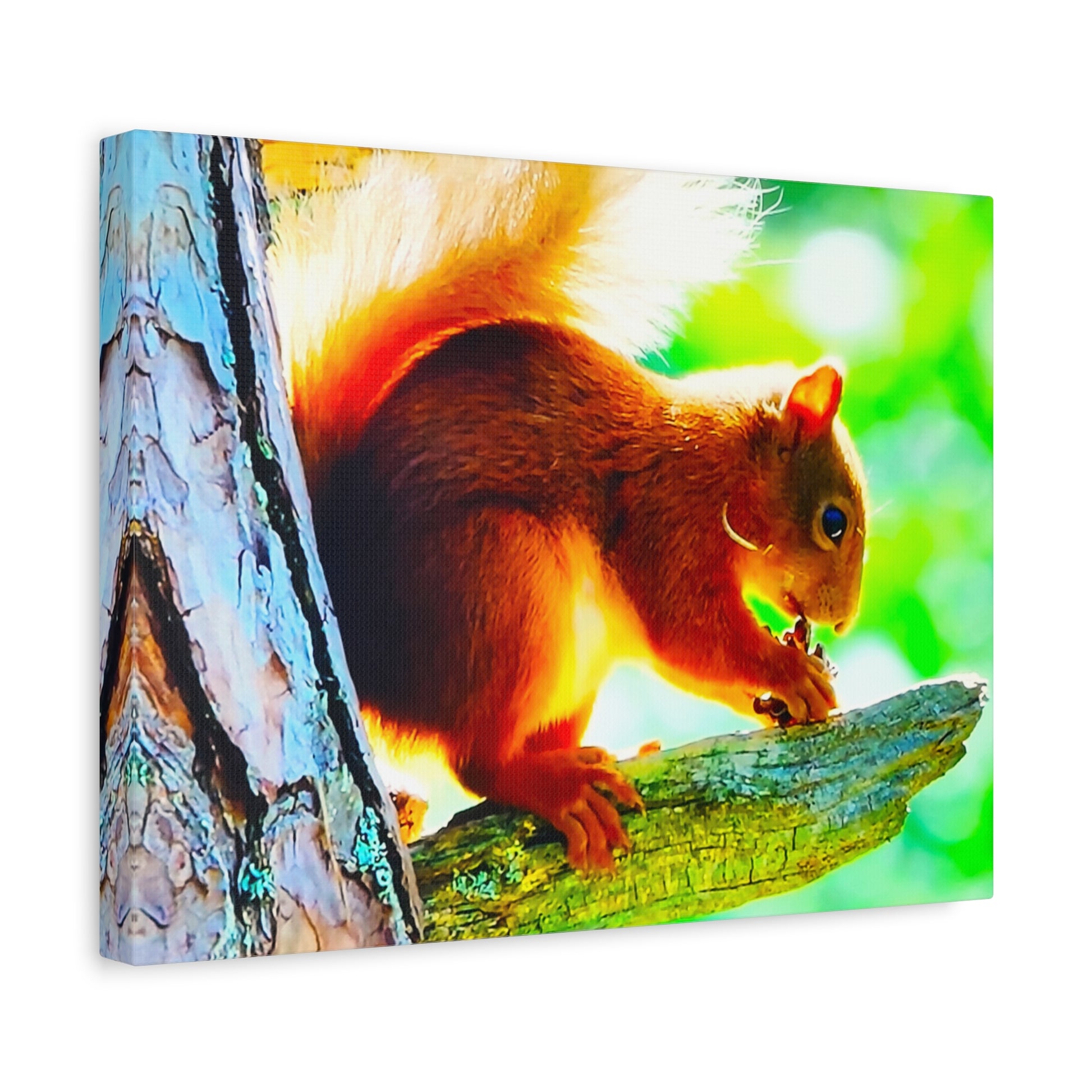 Energetic Squirrel Nut 7