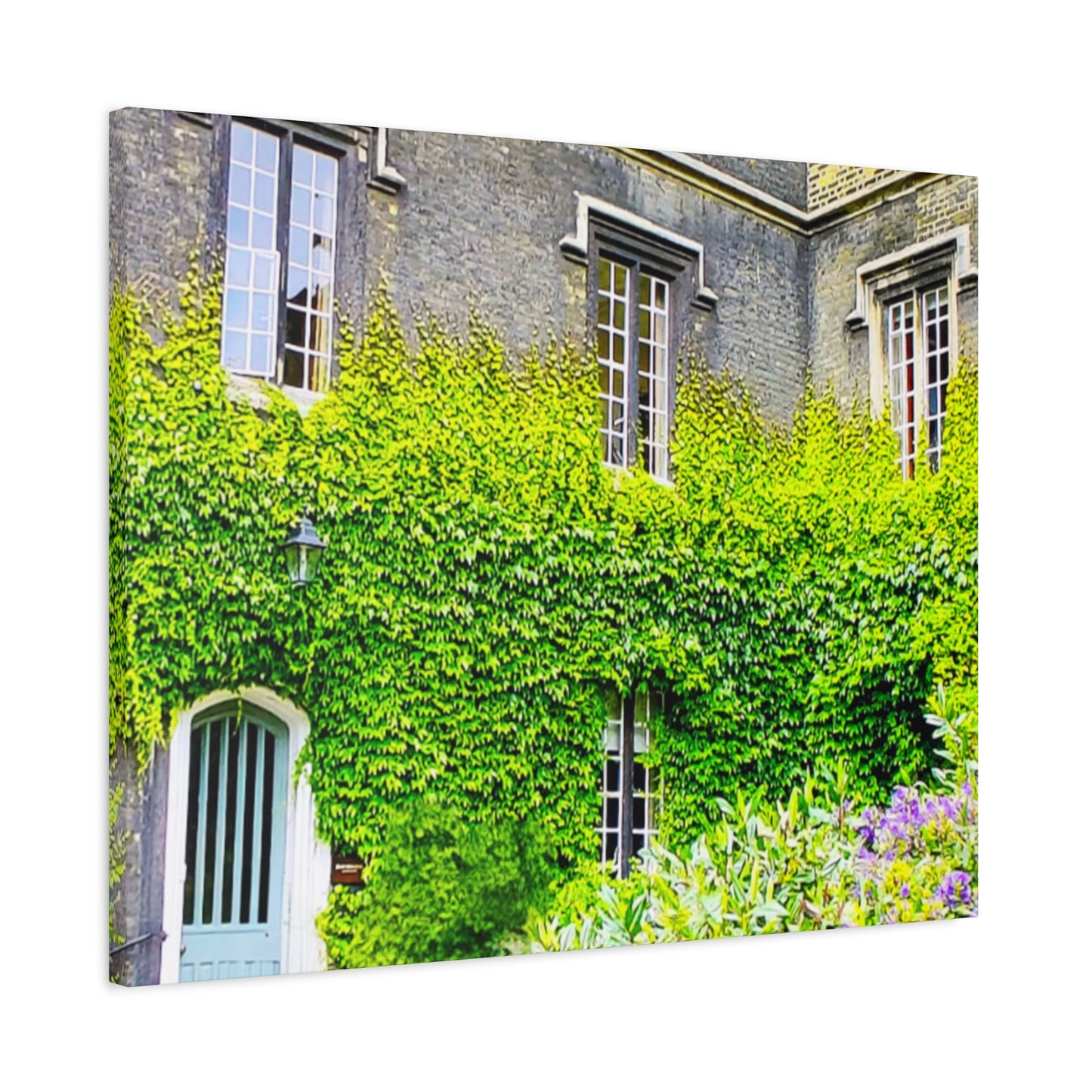 Rustic Building Ivy 5