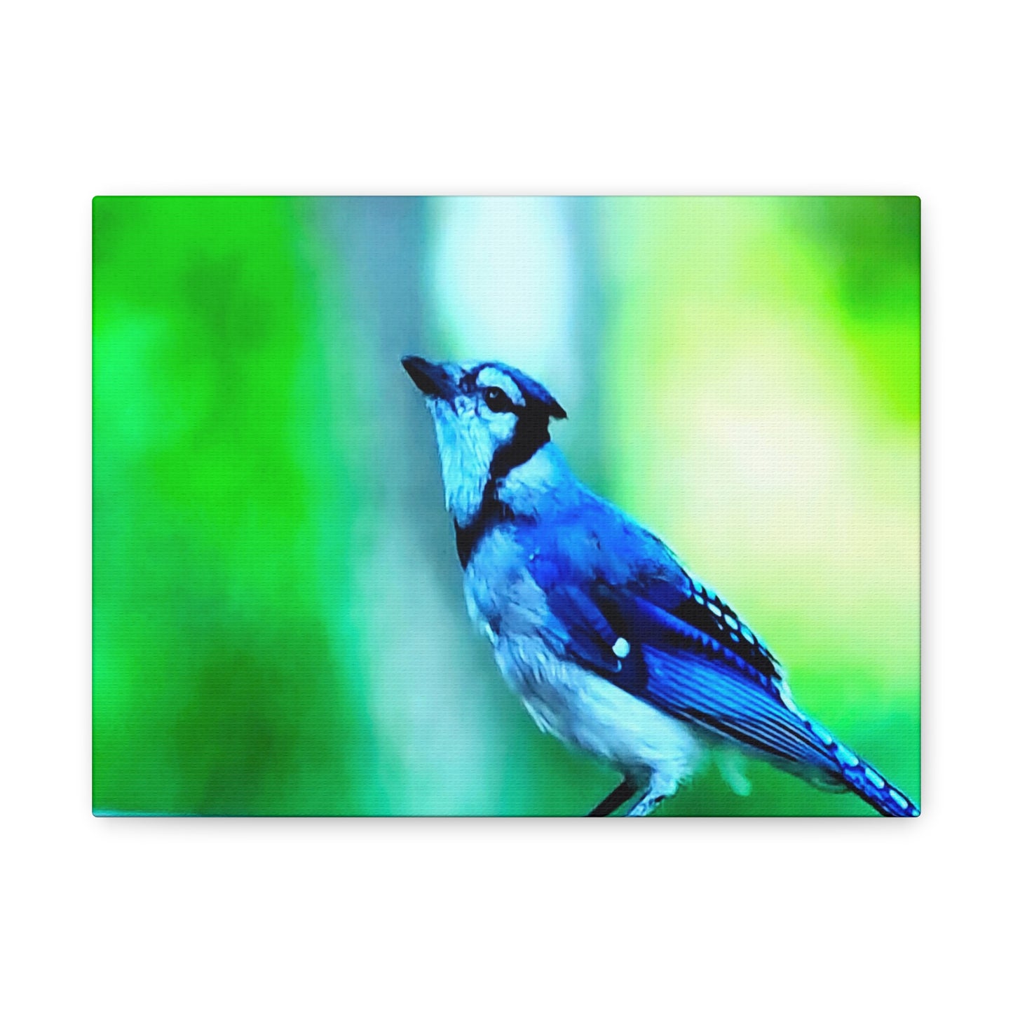 Blue Jay Bird Bath 5