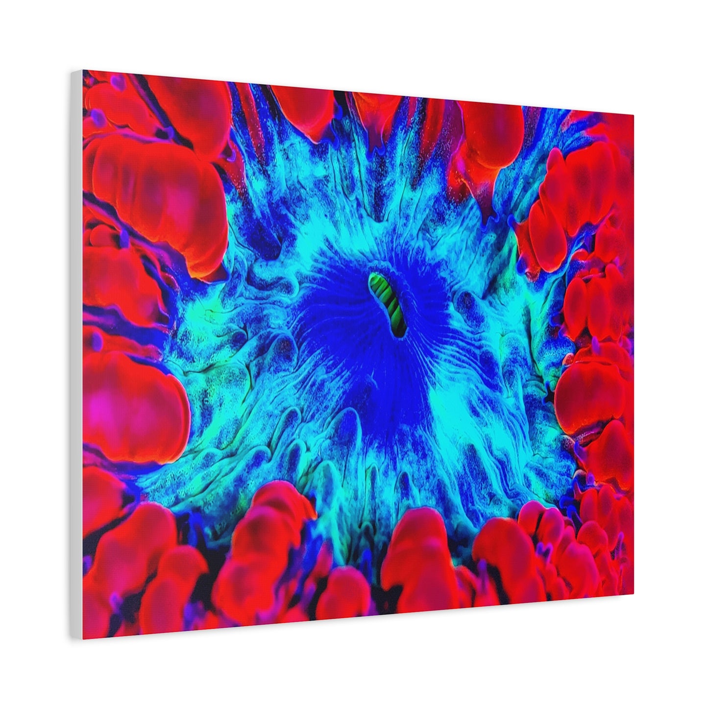 Abstract Coral Reef Deep Main