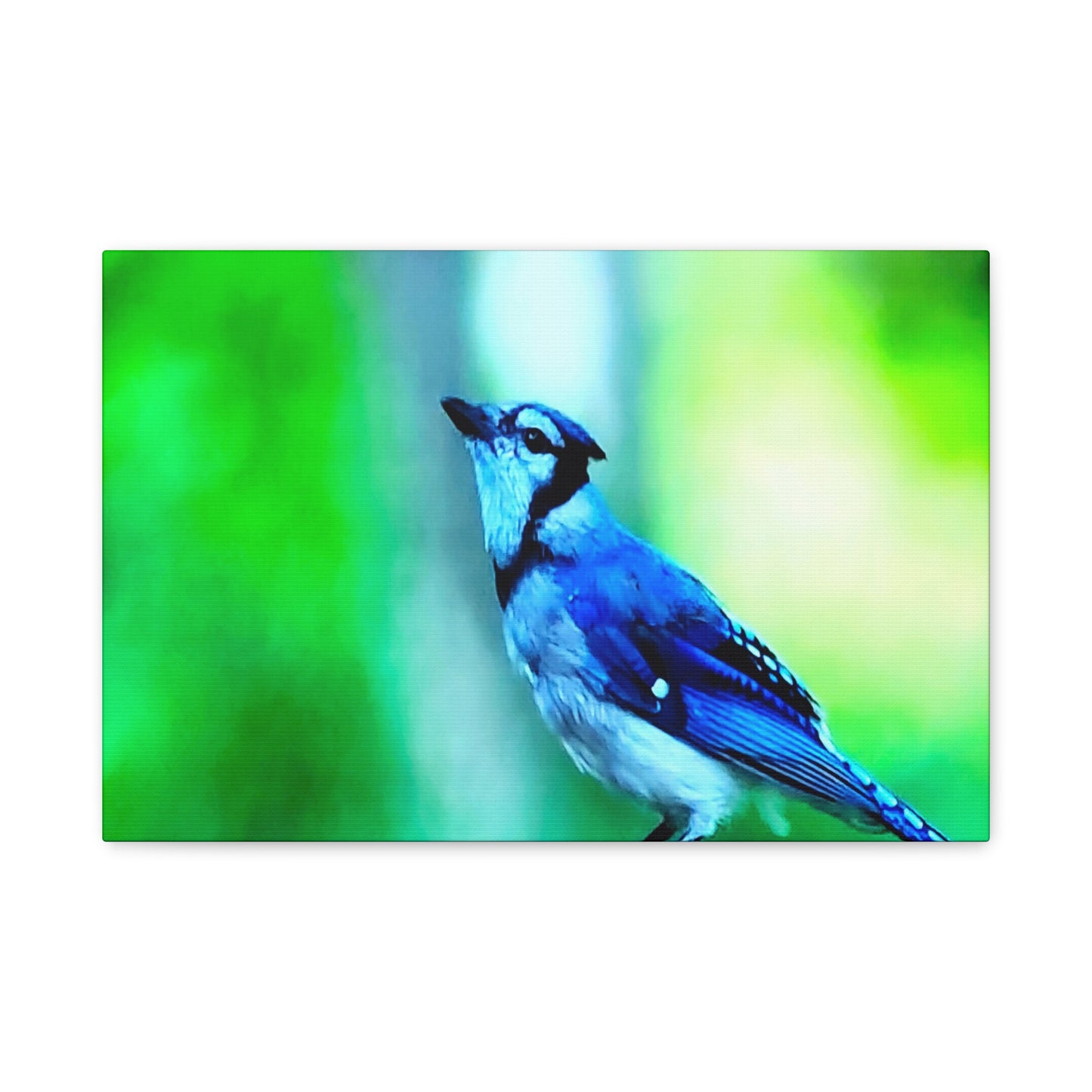 Blue Jay Bird Bath 4