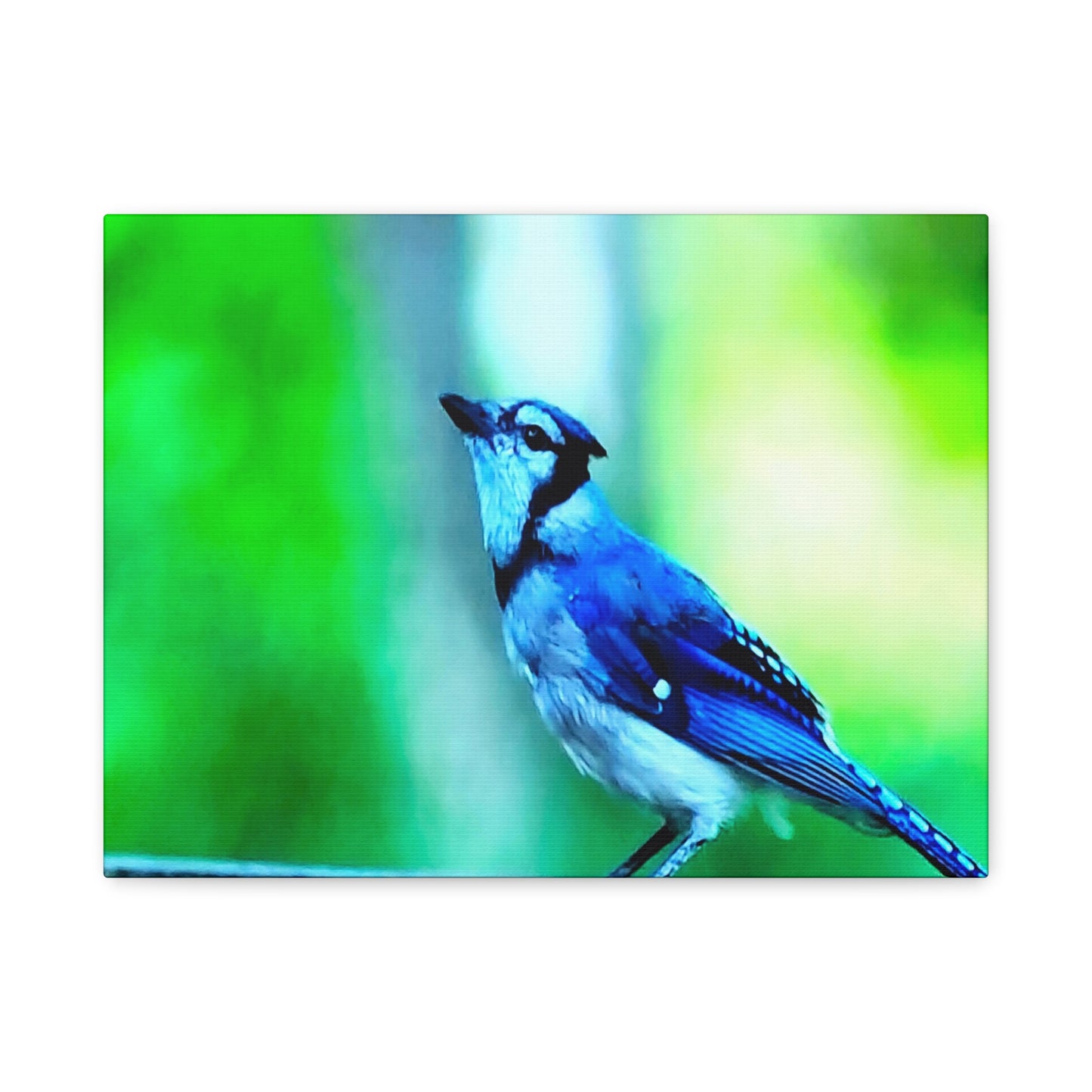 Blue Jay Bird Bath 3