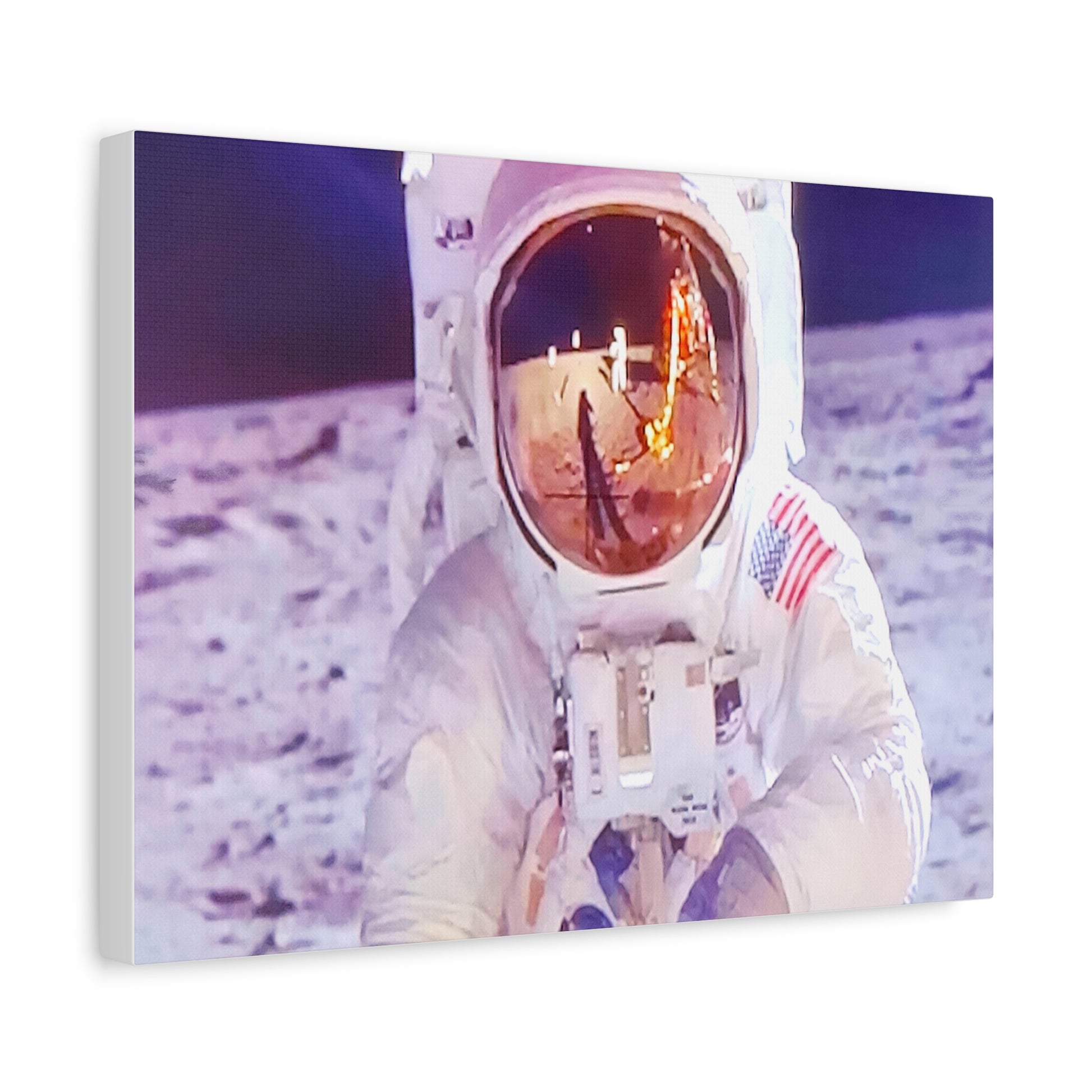 Apollo Astronaut Collecting 8