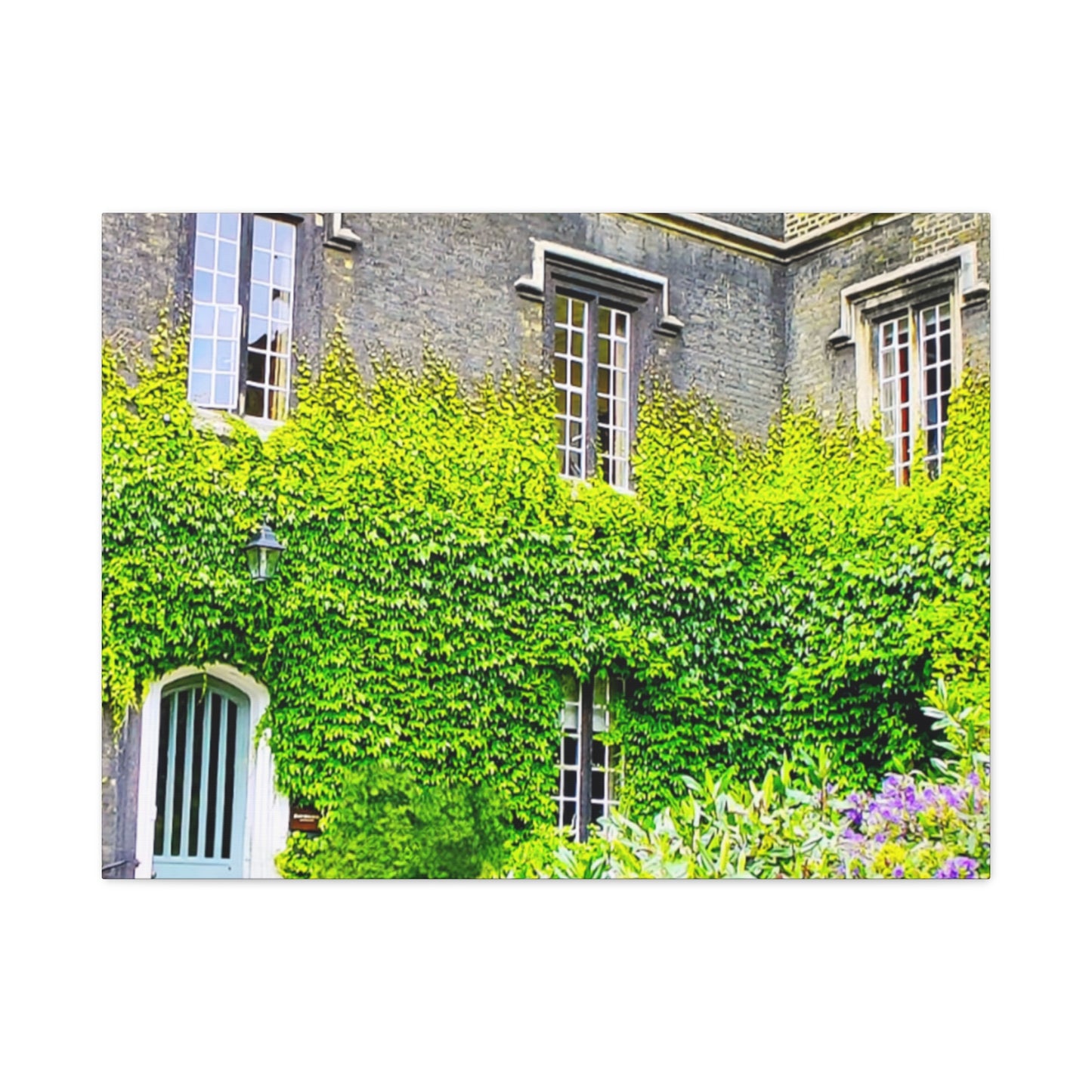 Rustic Building Ivy 3