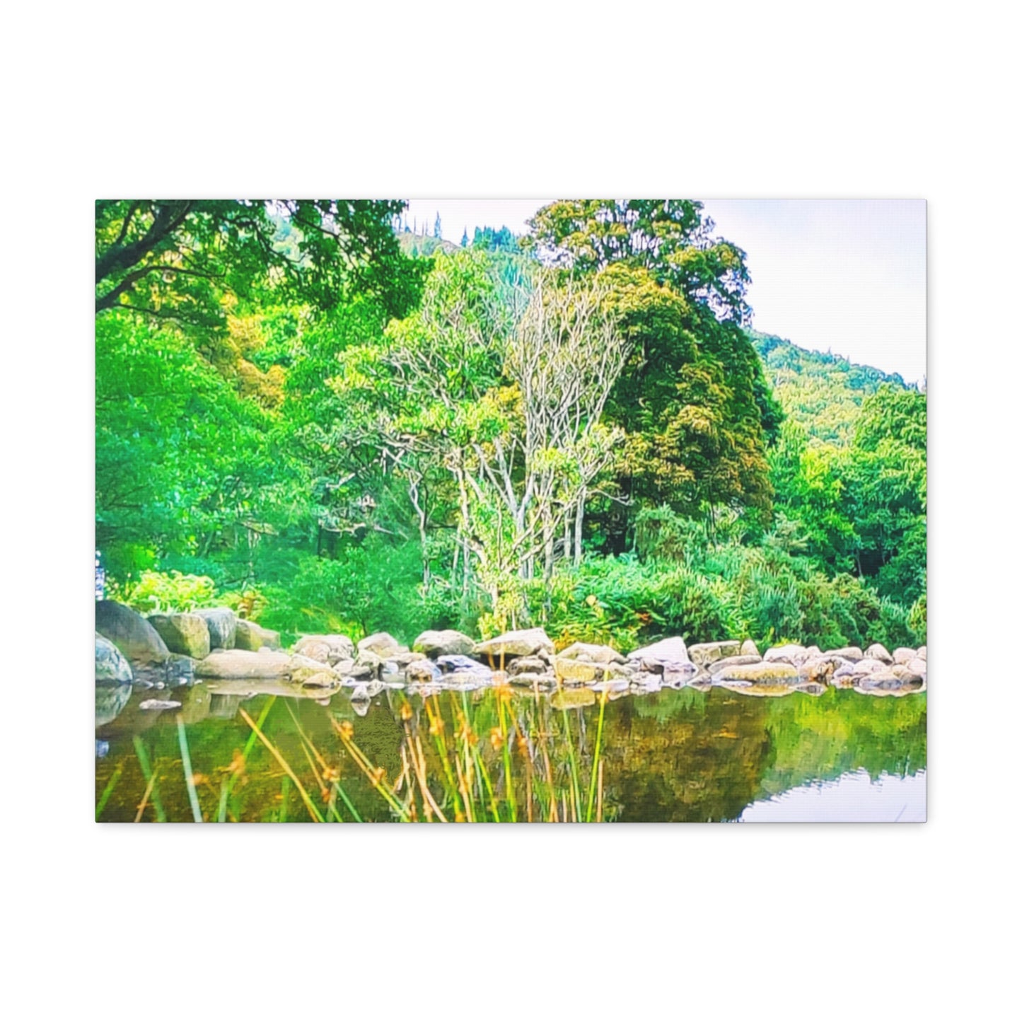 Canvas Wall Art - Round Rocks Pond