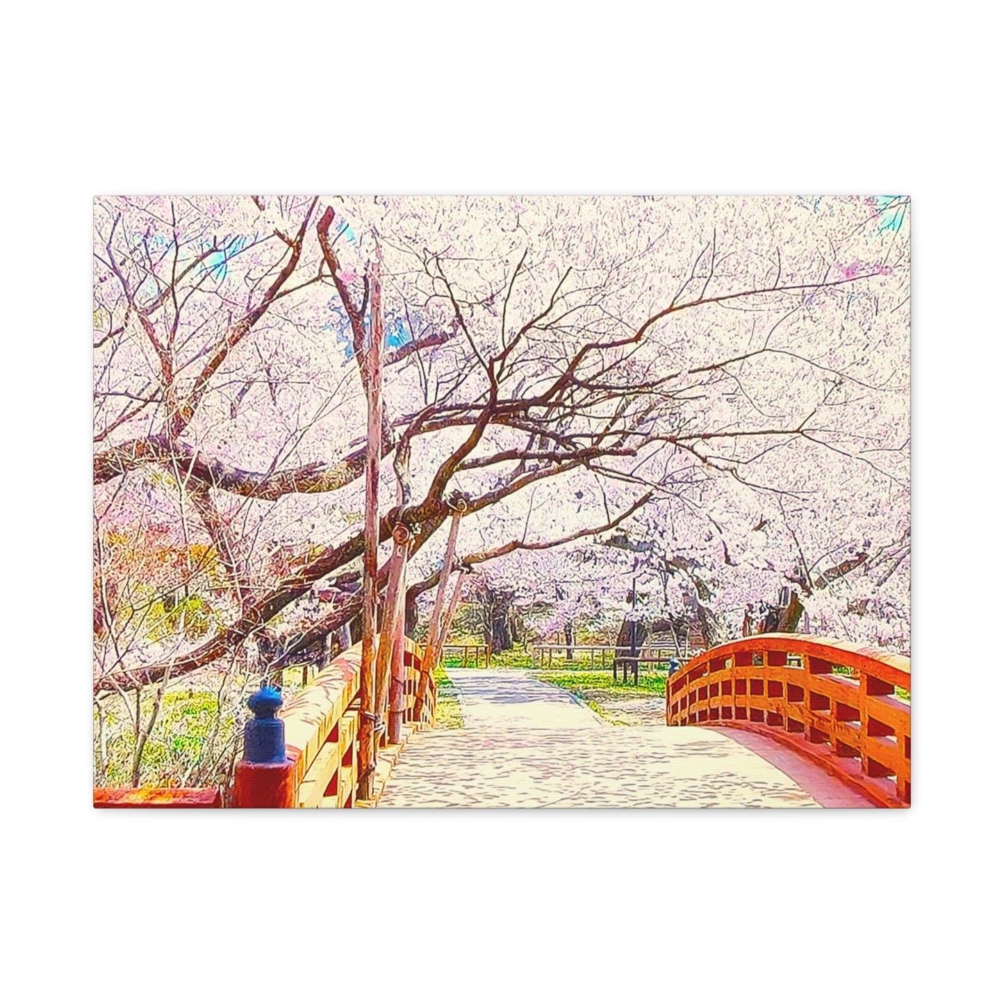 Cherry Bossom Bridge 4